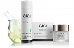 GIGI Recovery